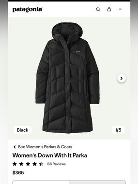 Patagonia down with it women’s parka
